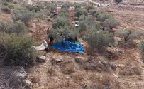 IDF Spokesperson Vast majority of olive harvests proceed peacefully