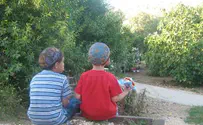 Poll: Israeli Grandparents 'Very Involved' in Grandkids' Lives