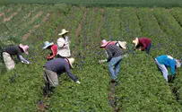 Most Illegals Who Bore Children in Israel will be Naturalized