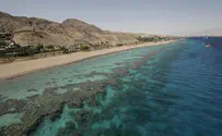 Армия на дне Суэцкого залива оказалась шуткой