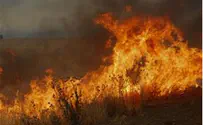 Galilee Fires May Be Result of Arson Terrorism