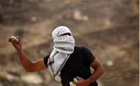 Shomron Residents Catch Arabs Cutting Down Olive Trees