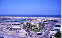Jellyfish Attack Israel Electric Plant in Ashkelon