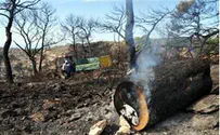 Comptroller Report on Carmel Fire Submitted to Knesset Speaker