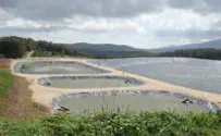 Joint Israel-PA Project to Clean Up Sewage in Jordan Valley