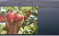 Indirect Talks with Syria to Trade ‘Apples for Water’
