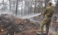 IDF Considers Personal Fire Extinguishing Spray 