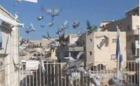 Doves Over the Sky of Jerusalem