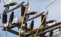 Israel Electric Company Clay Pigeons to Ward Off Blackouts
