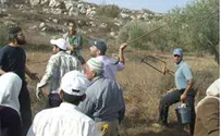 Shilo Resident Given Prison Sentence for Beating Arab