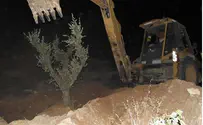 Activists Arrested After Being Attacked By Arabs