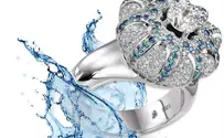 Made in Israel: Briza's Tech Brings out a Diamond's Color