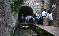 Public Invited to Seek Temple-Time Artifacts