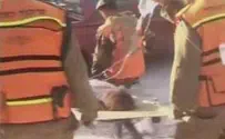 Israel news photo: IDF Haiti Footage: IDF Helps Rescue Two Young Women
