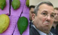 Israel news photos: Flash 90 Ben-Ari Asks AG: is Barak an Etrog?