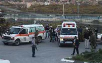 Israel news photo: David Wilder Terrorist's Dad: 'Could Such a Sweetheart Do Something So Bad?'