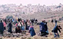 Israel News Photo: Tuvia Lerner Plea to Supreme Court: What About Illegal Arab Construction?