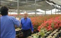 Bibi Tells Expulsion Victims Helping Them is 'National Mission'