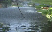 Desalinating, Securing and Preserving Water in Wake of Shortage
