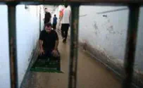 Druze Jailor Suspected of Smuggling Phones to Security Inmates