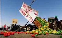Farmers Demand Foreign Labor, Sales to Gaza