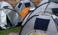 "אין בין תבונה לסוציאליזם ולא כלום"