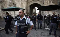 Tasers Back in Use