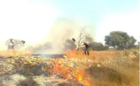 הנשק החדש: הצתות      