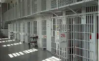 3% of Israelis Arrested or Detained Each Year
