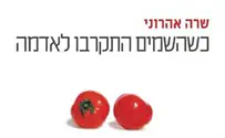 כשהשמים התקרבו לאדמה