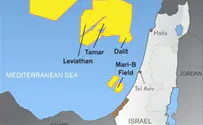 Israel news photo: courtesy of Delek Another Gas Discovery for Delek, Noble Energy!