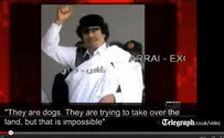 Qaddafi Denies He Fled to Niger in New Audio