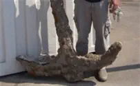 עוגן ברזל עתיק נמשה בחוף בת ים