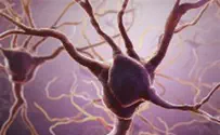 Clinical Trials on Stem Cell Treatment for Lou Gehrig's Disease