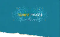 "עיקר התשובה - שישוב האדם אל עצמו"