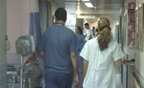 Health Ministry Warns Mosquito-Borne Dengue Fever in Israel