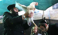 Flash 90 Chabad's Kaparot Chicken Help the Needy