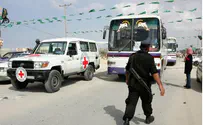 Террористы выходят на свободу, Шалит в Египте