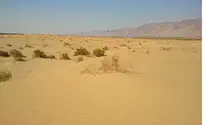פנייה לבנצי ליברמן: הצל את חולות סמר