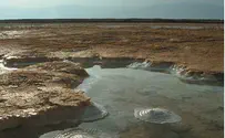 Israel news photo: courtesy of Ahava Cosmetic Vote for the Dead Sea Now!