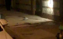 Jewish Woman Murdered in Flatbush