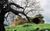 Bet El - The site of Jacob's Dream Discovered