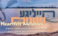 חדש בארה"ב: הייליגע ניגונים