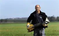 Afternoon Naps Shattered by Rocket Attack on Southern Israel