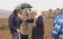Нецер: палестинцы вырывали и жгли посаженные деревья