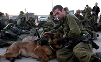 Israel news photo: Flash 90 Raiders Find Uzi in the Fridge, Handgun in the Toilet