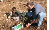 אירועי קרן קימת לישראל לחודש הנטיעות