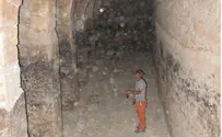 שוד עתיקות במדבר יהודה ליד תקוע