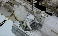 Iran's Next 'Monkey Astronaut' Coming Soon