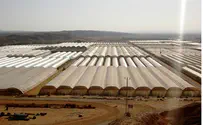 קובי פינקלר В мае в Израиле откроется своя ВДНХ